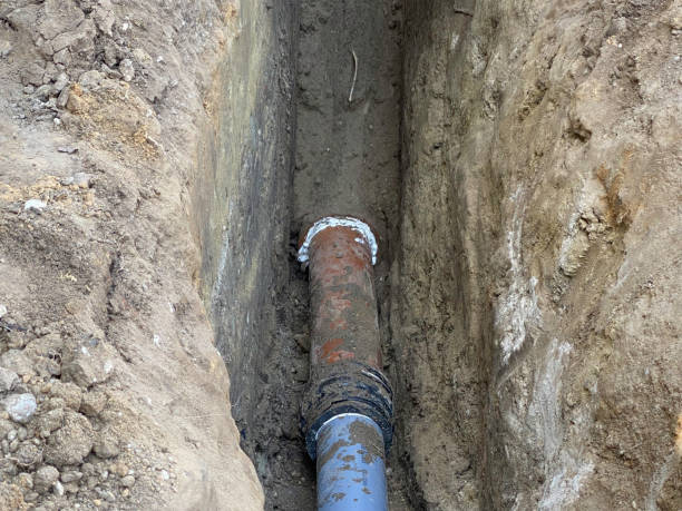 Best Flood damage cleanup  in Chevy Chase Village, MD