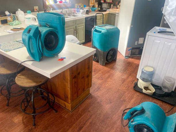 Best Water damage cleanup near me  in Chevy Chase Village, MD