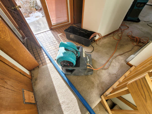 Best Commercial water damage restoration  in Chevy Chase Village, MD