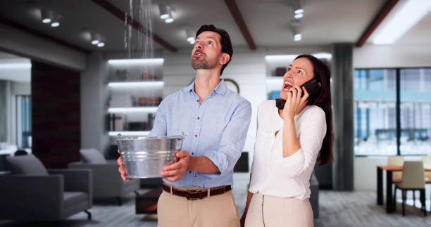 Best Ceiling water damage repair  in Chevy Chase Village, MD